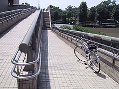 環八を跨ぐ歩行者・自転車用の橋