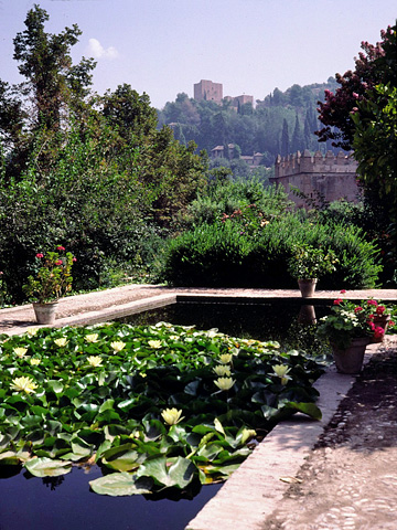 パルタル庭園からヘネラリフェ方面を望む