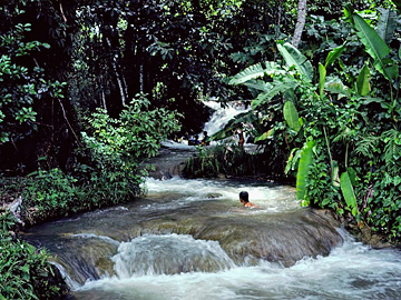 ジャングルの水浴び