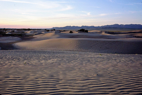 バヤン・ゴビの砂漠
