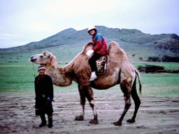 初乗駱駝体験