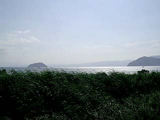 葦と竹生島（左）