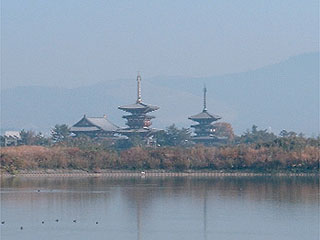 大池対岸からの薬師寺