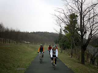 昭和記念公園内のサイクリングロード