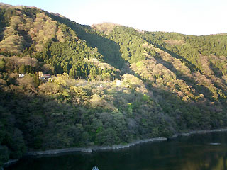 津久井湖の緑
