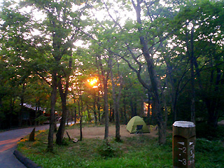 朝のキャンプ場