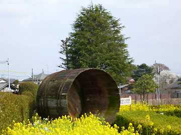 煉瓦蔵の庭にある杉の大桶
