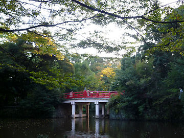 氷川神社の神池と神橋