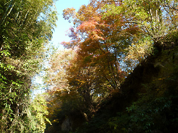 三郎の滝付近の紅葉