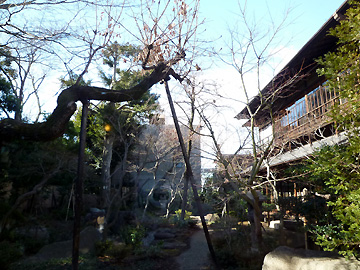 旧安田楠雄邸の庭