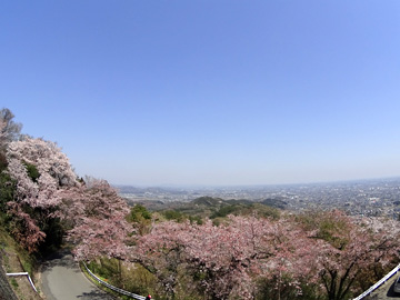 太平山神社より栃木の街を見る