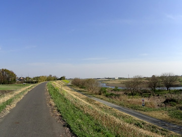 渡良瀬川と自転車道