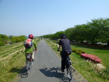 高麗川の自転車道