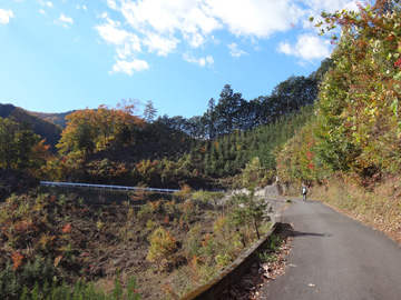武蔵野水道・時坂の森の標識から西へ