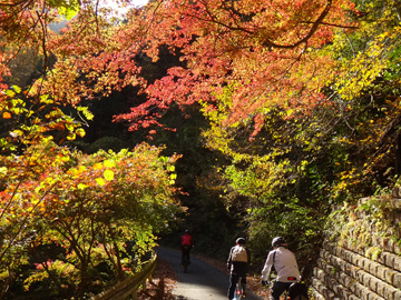 神戸岩の紅葉