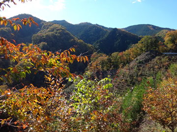 武蔵野水道・時坂の森の標識から見る南の山々