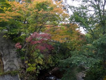 湯ノ小屋温泉の紅葉