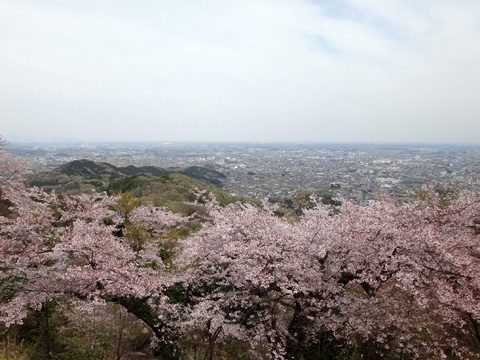 太平山神社から栃木市街を望む