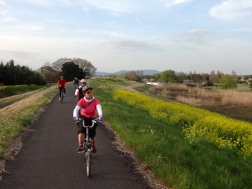 渡良瀬遊水池西の自転車道