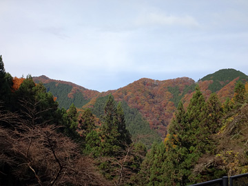 紅葉する生藤山
