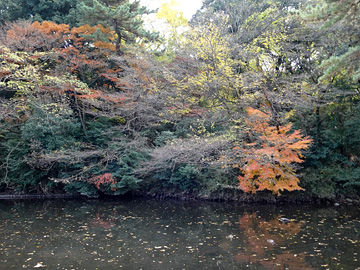 池と紅葉その2