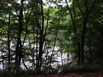 森の中の秋元湖