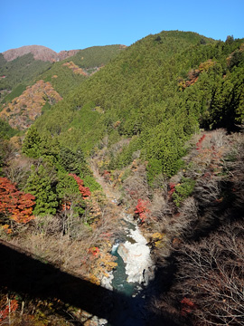 檜村橋から見る多摩川