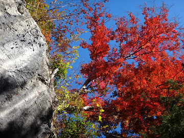 大岩と紅葉