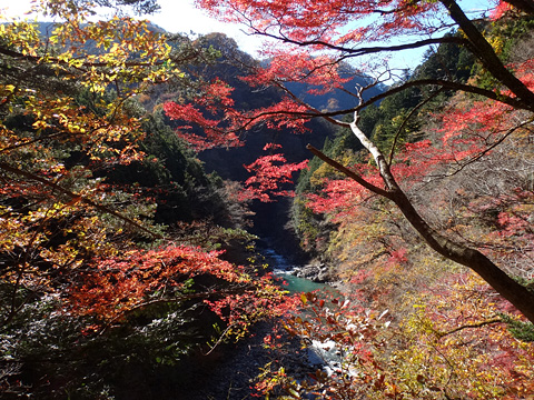 紅葉と惣岳渓谷
