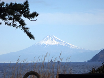 松と富士山