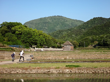 田んぼの中の肥土山農村歌舞伎舞台
