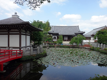 円照寺の弁天池