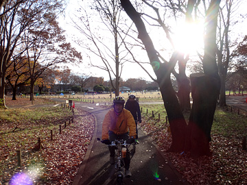小金井公園の自転車道