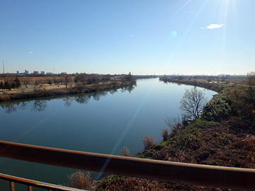 羽根倉橋から見る荒川