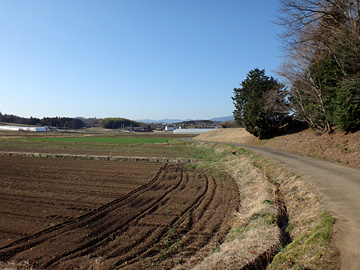 田んぼの端の道