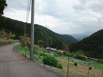 和見川の谷