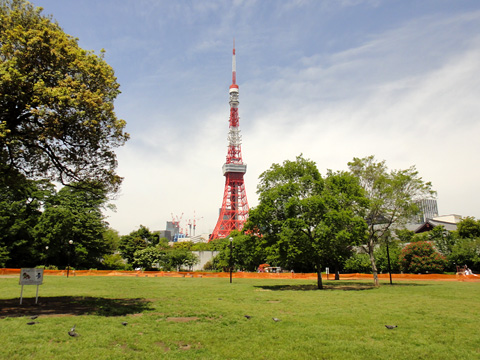 芝公園から見る東京タワー