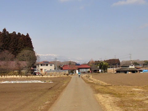 田畑の中の道