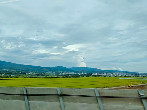 遠景に函館の街