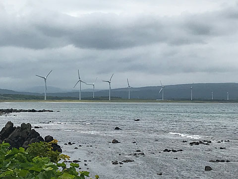 海辺の風車群