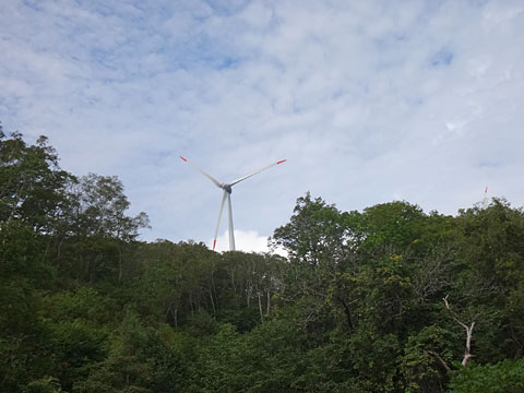 森の上に風車