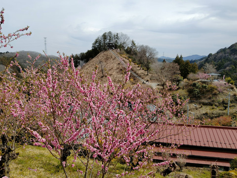 大内山と花桃の郷展望台