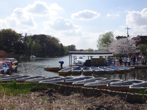石神井公園ボート池