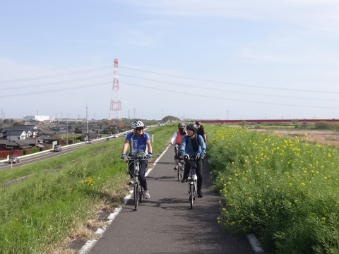 千葉県側の江戸川自転車道