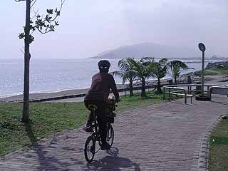 海岸の自転車道