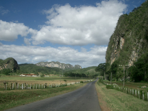 サン・ミゲル洞窟付近のモゴーテ