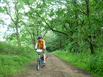 森の中を行くダートの自転車道