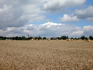 麦畑と牧草ロール