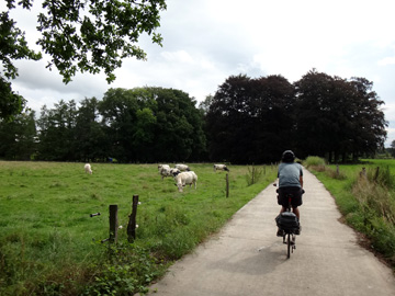 牧草地を行く自転車道