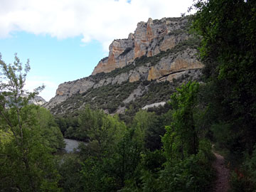 エブロ川の森と断崖